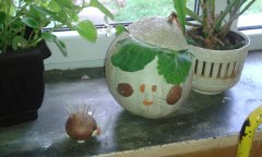 20161005_120055.jpg