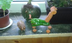 20161005_120107.jpg
