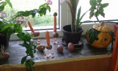 20161005_120117.jpg