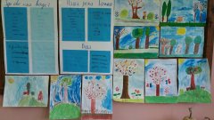 20170324_085319.jpg