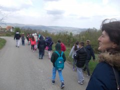 DSCN0599.jpg