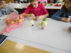 DSCN0398.JPG