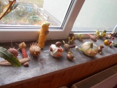 DSCN0407.JPG