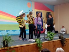 IMG_20181108_135630.jpg