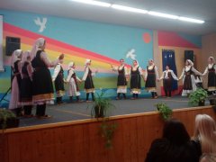 IMG_20181108_142302.jpg