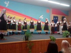 IMG_20181108_142806.jpg