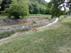 IMG_20180521_151620.jpg