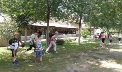 20180604_123103.jpg