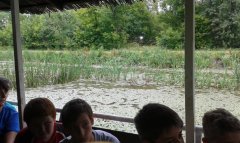20180604_152539.jpg