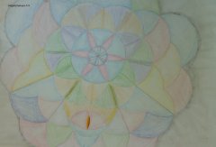 20180422_124410.jpg