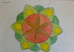 20180422_124547.jpg