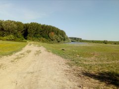 IMG_20180529_082225.jpg