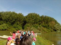 IMG_20180529_083039.jpg