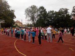 IMG_20190923_095033.jpg
