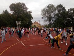 IMG_20190923_100728.jpg