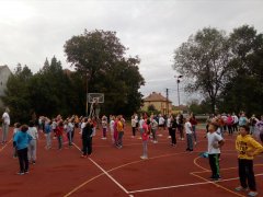 IMG_20190923_101020.jpg